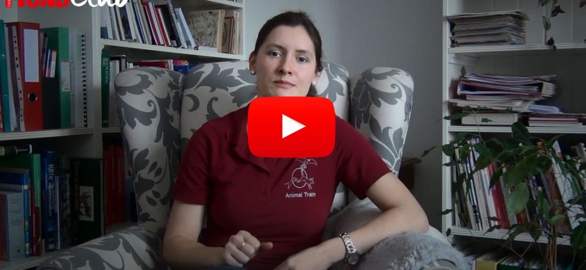 Aufloesungsignal_geben