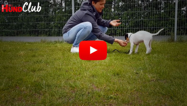 Lernen durch Gelegenheiten – mit Raphaela Niewerth