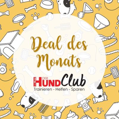 Club_Maße_Header_Deal_des_Monats