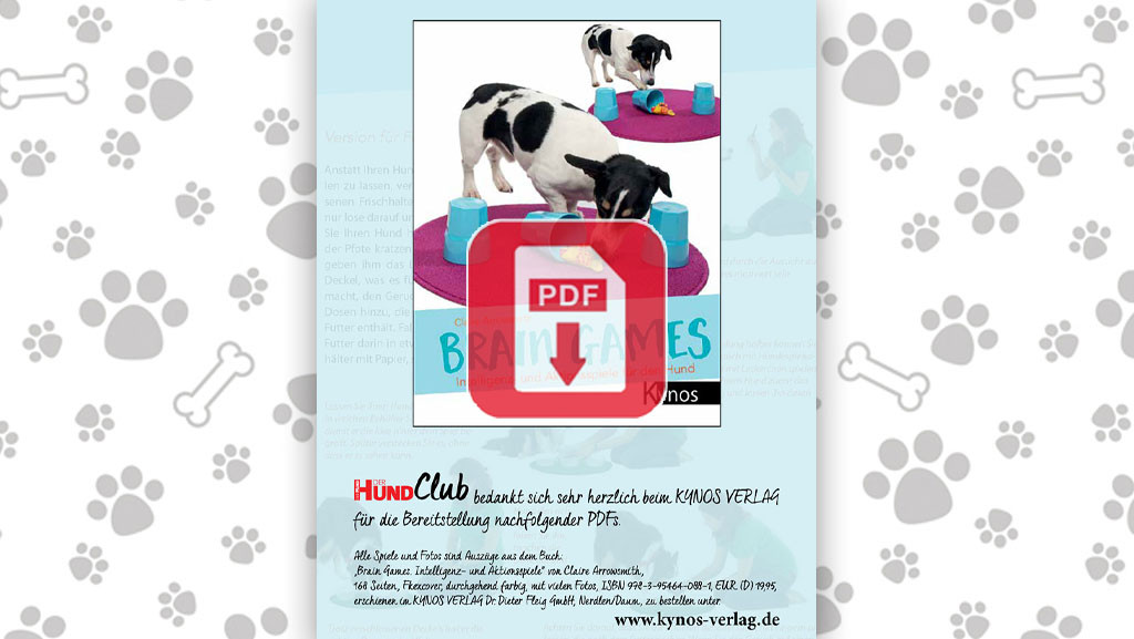 Spielzeugaufbewahrung Hund — Sparstarmma.com