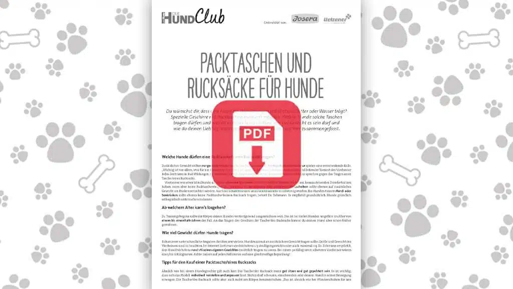 Packtaschen und Rucksäcke für Hunde