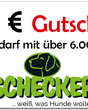 40,- € Gutschein Schecker