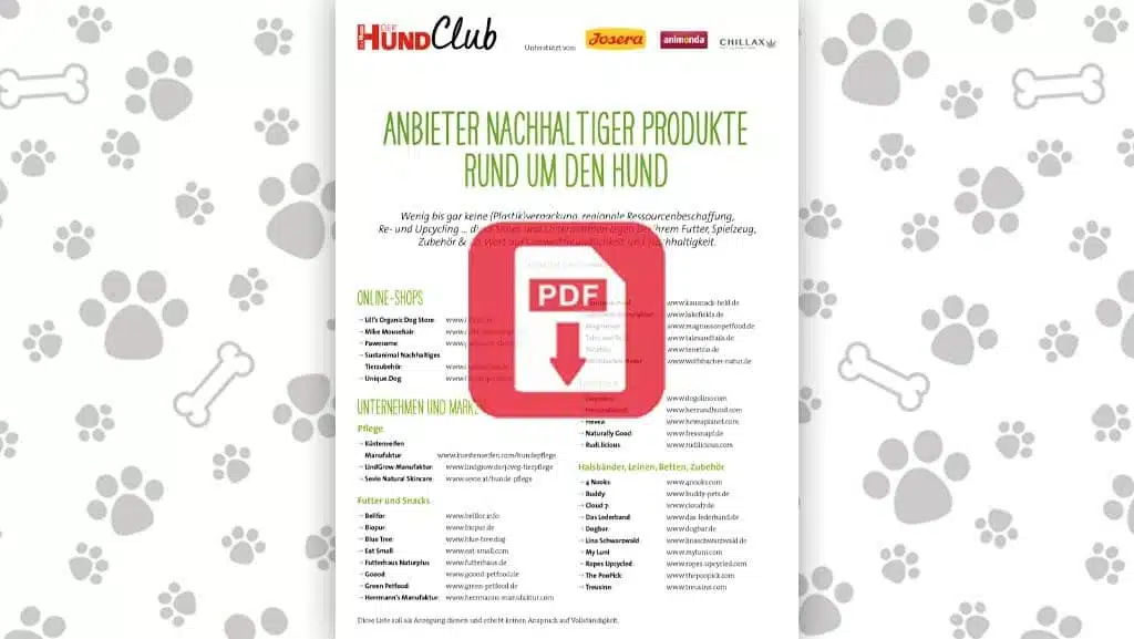 Anbieter nachhaltiger Produkte rund um den Hund