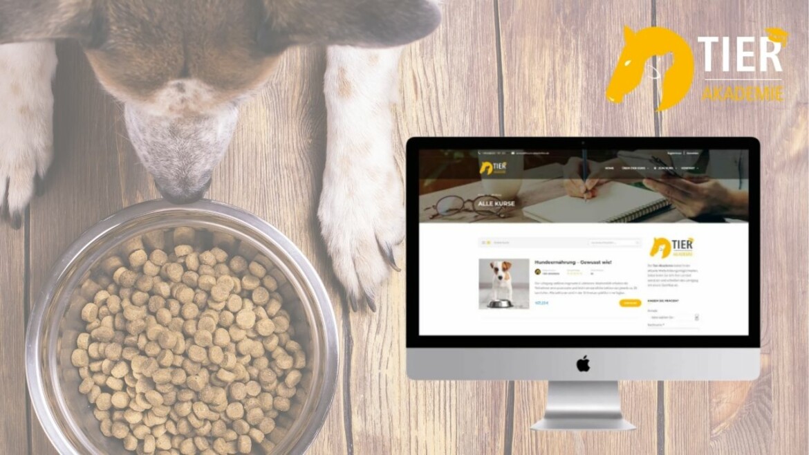 <span class="rabattheader">100 %</span> Online-Kurs: Hundeernährung – Gewusst wie!