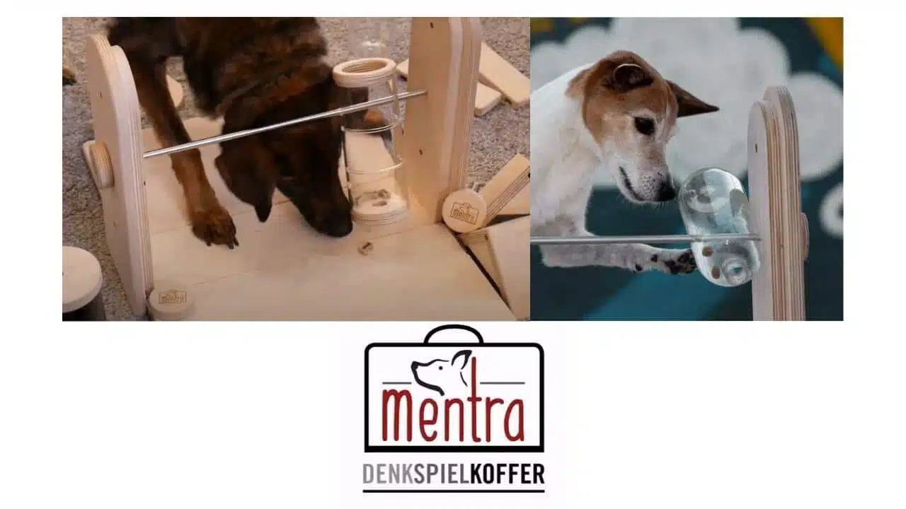 Design ohne Titel (3)