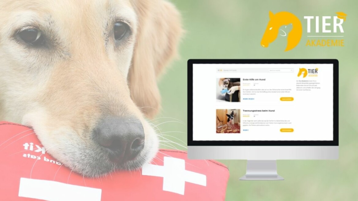 <span class="rabattheader">100 %</span> Online-Kurs: Erste Hilfe bei Hunden