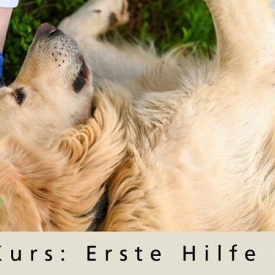 Kurs Erste Hilfe gratis_1200x500