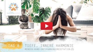 Innere Harmonie – Pawsitive Life Coaching