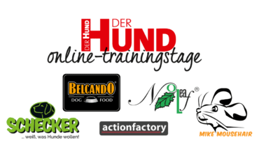 Webtalk: Ein guter Start