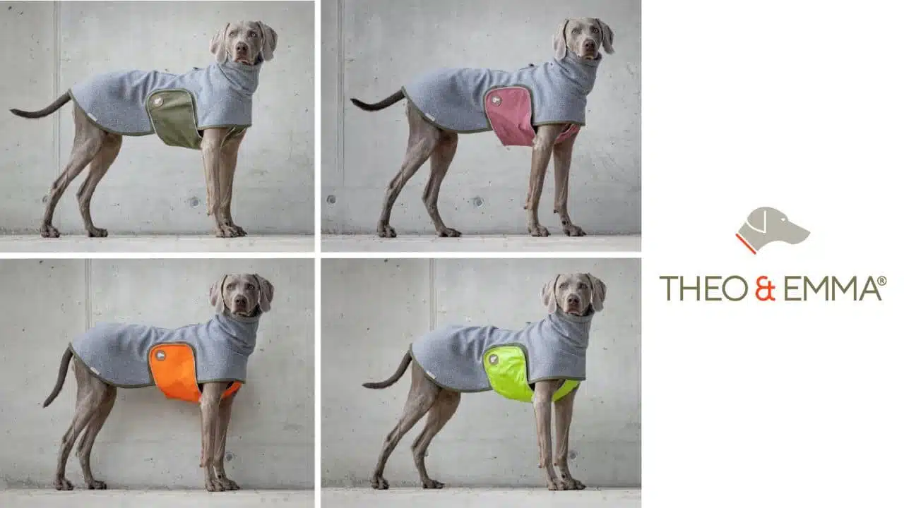 Club-Code-Theo-und-Emma