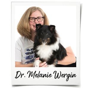 Webtalk Stress Dr. Melanie Wergin