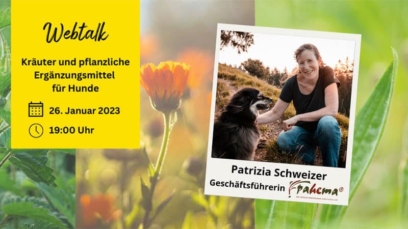 Patrizia-Schweizer_Kraeuter2023