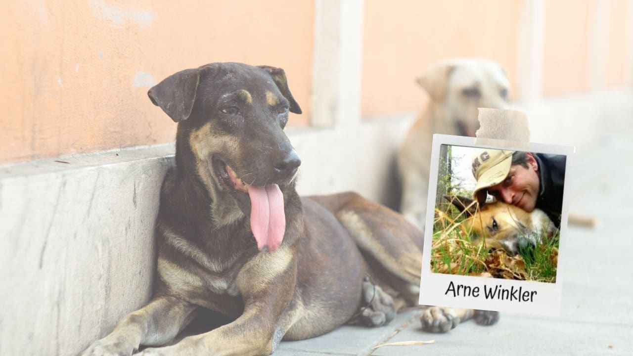 Tierschutzhunde Webtalk mit Arne Winkler