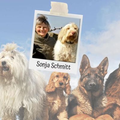 Mehrhundehaltung mit Sonja Schmitt