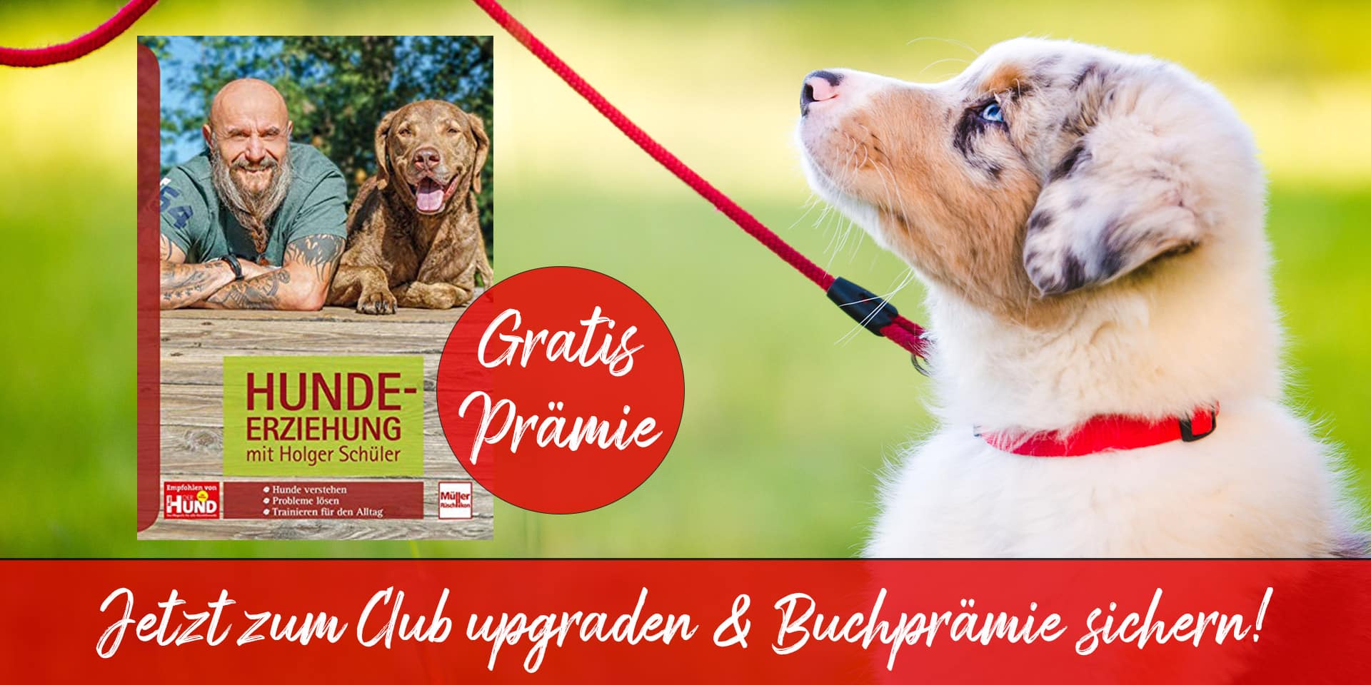 Buch "Hundeerziehung" von Holger Schüler als Prämie