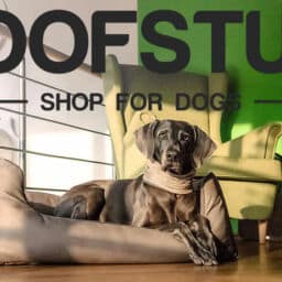 Deal desMonats bei Woofstuff