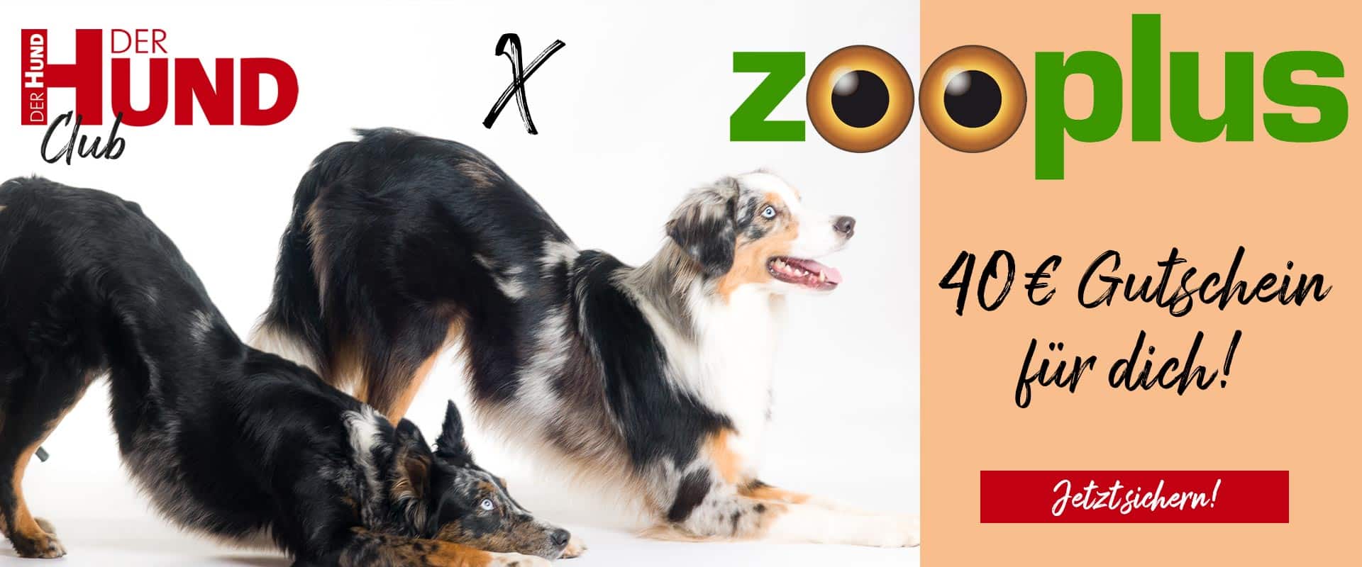 40€ Zooplus Gutschein für Neumitglieder