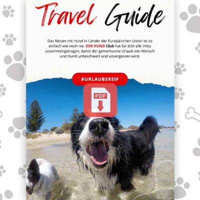 Download Der Hund Club Travel Guide EU