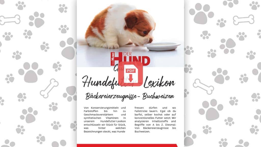 Download Hundefutterlexikon B