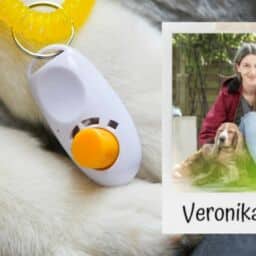 Webtalk Clickertraining mit Veronika Rothe