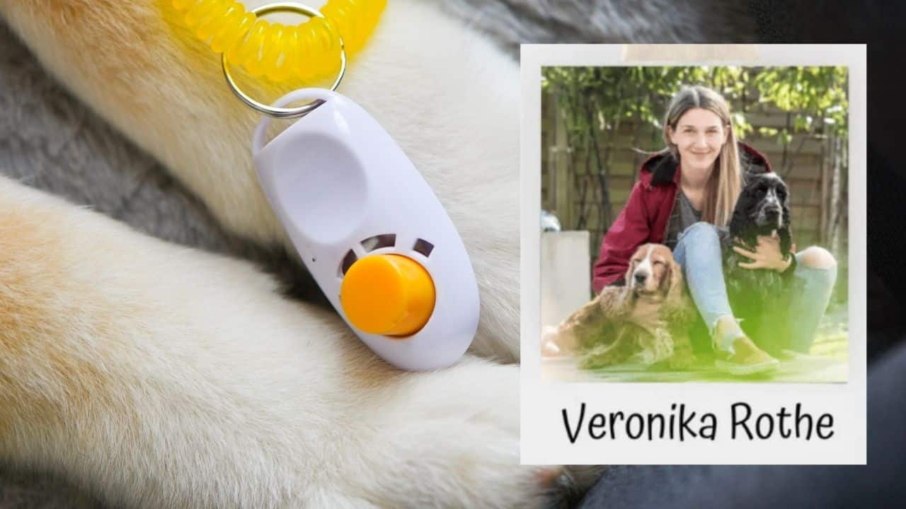 Webtalk Clickertraining Veronika Rothe