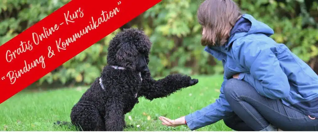 Begib dich mit dem bekannten Hundeforscher Ádám Miklósi auf Expedition zu neuem Wissen über Bindung und Kommunikation und hol dir die neuesten wissenschaftlichen Erkenntnisse –für Club-Mitglieder gratis.