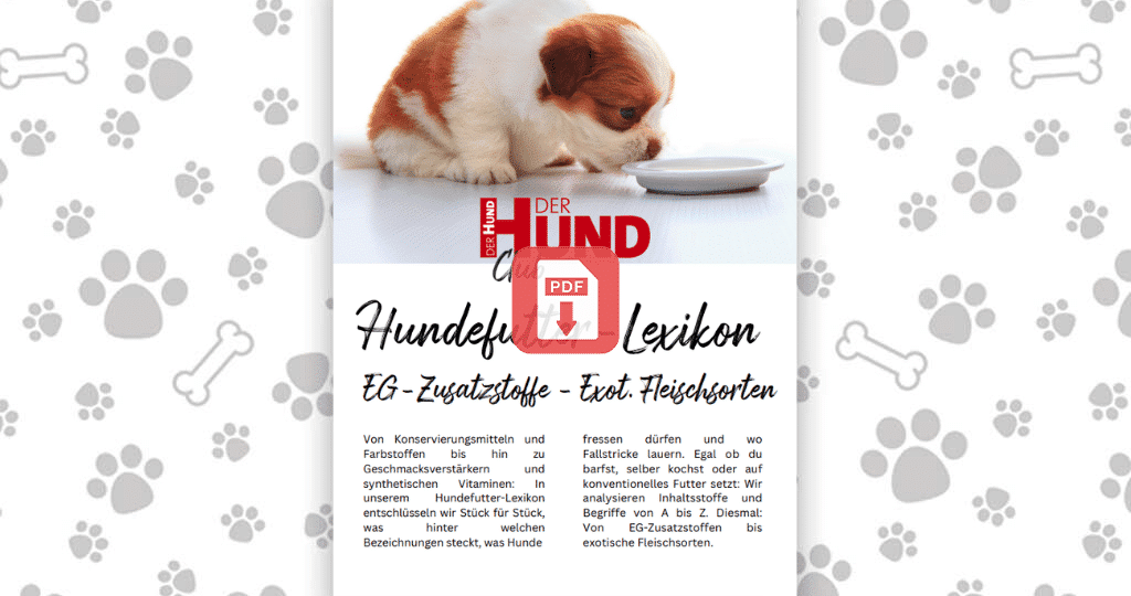 Futtermittellexikon E_Download