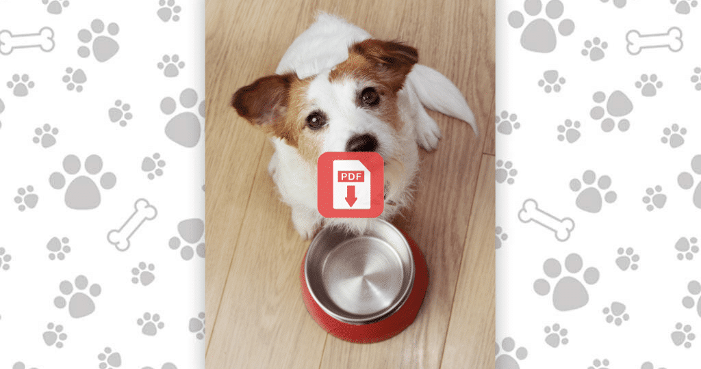 Kursmaterial zum Webtalk "Ernährung und Verhalten"