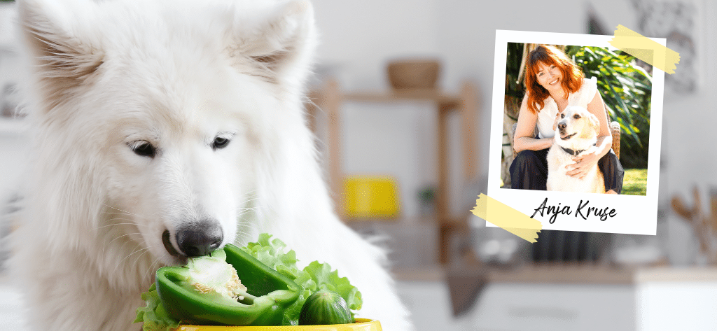 WT_Ernaehrung_Aufmacher