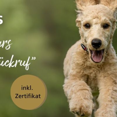 Kurs Rueckruf gratis_1200x500