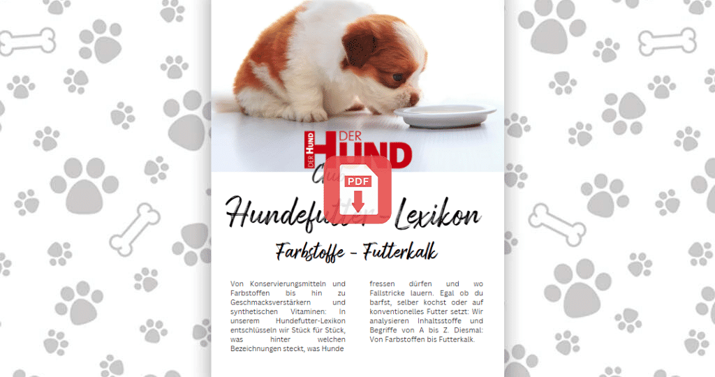 Beitragsbild Futtermittellexikon F