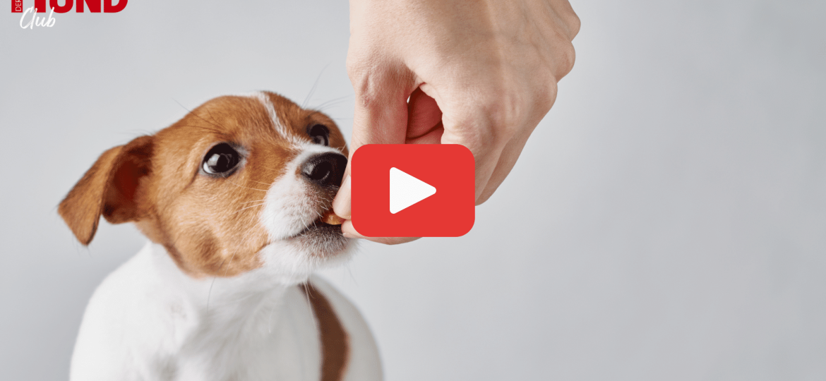 Verdauung-Kohlenhydrate_1920x1080