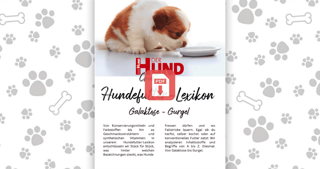 Futtermittellexikon G_Download