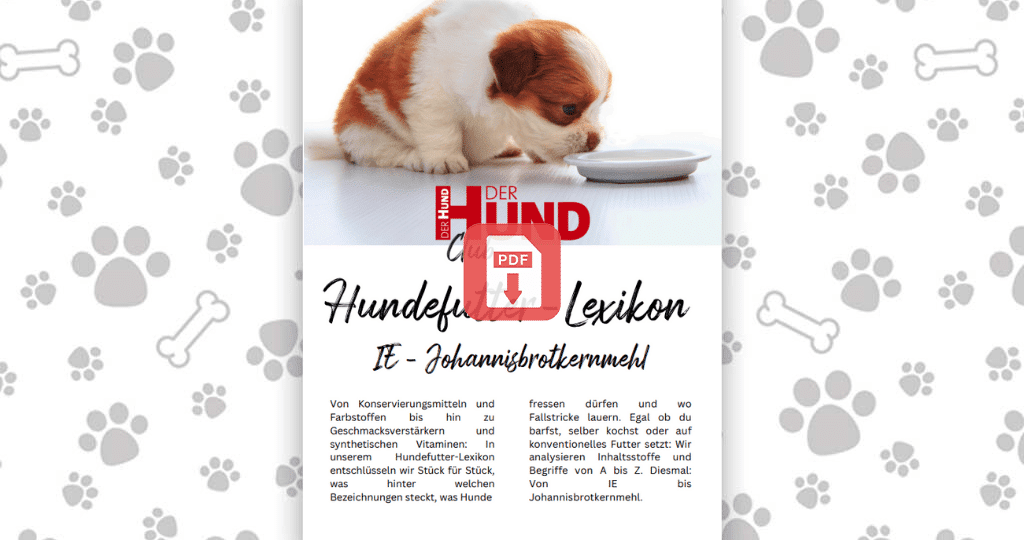 Futtermittellexikon IJ_Download