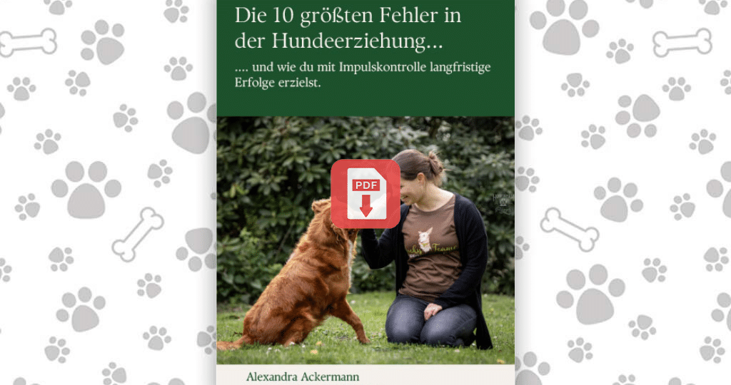 10 Fehler in der Hundererziehung_Download