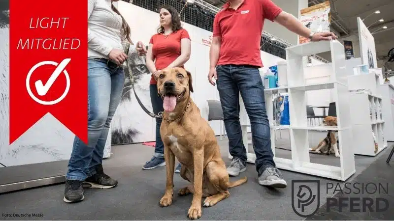 Großer brauner Hund auf der PFOTENLIEBE Messe mit 'Light Mitglied' Banner im Hintergrund