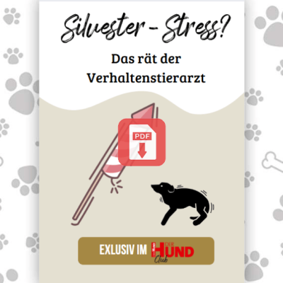 Download_Silvesterstress