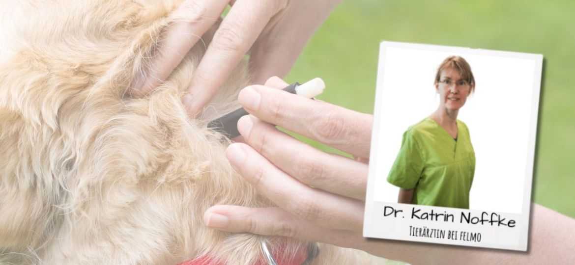 Zecken_Noffke_1280x720