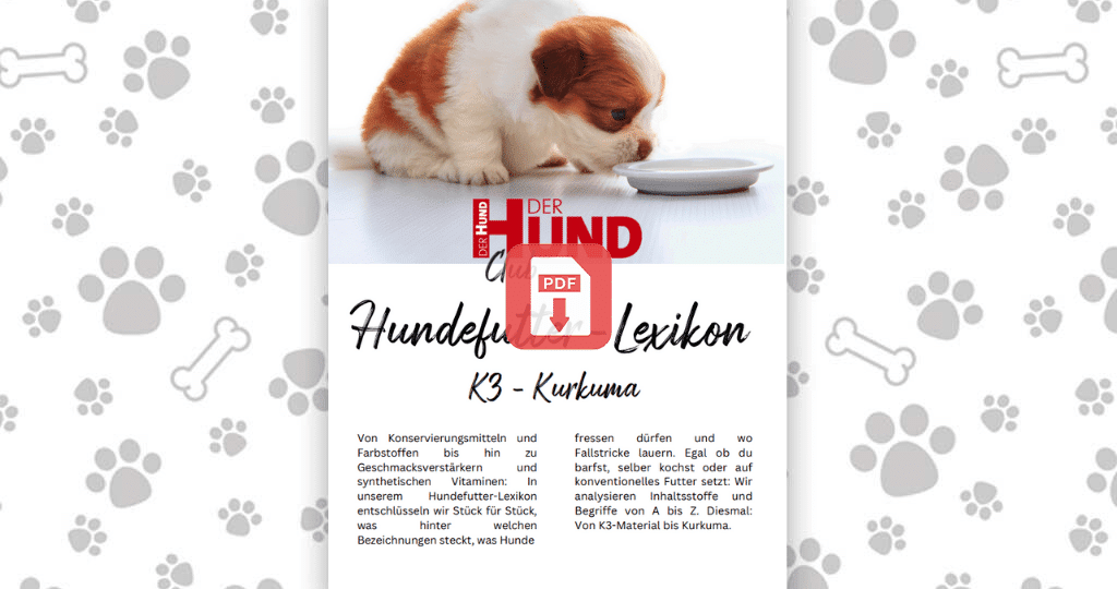 Futtermittellexikon K_Download