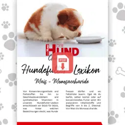 1. Seite des eBooks "Hundefutter-Lexikon M" mit Download-Button