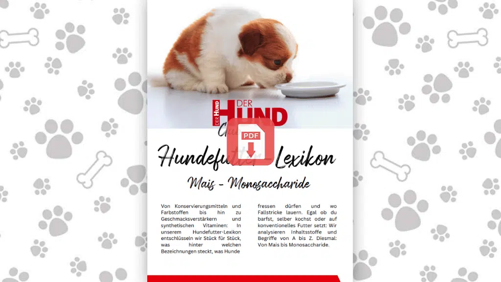 1. Seite des eBooks "Hundefutter-Lexikon M" mit Download-Button