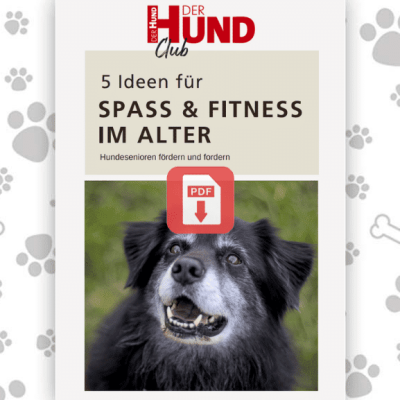 Fitness im Alter_Download