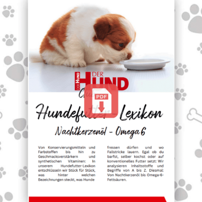 Futtermittellexikon N-O_Download