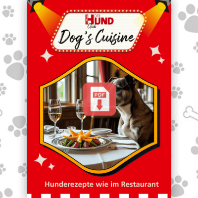 Dogs Cuisine_Download