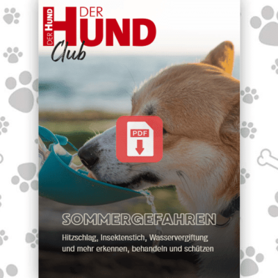 Sommergefahren_Download