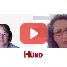 Eine Videovorschau mit Su Steiger (links) und Tatjana Rusch (rechts) im Gespräch, jeweils in unterschiedlichen Umgebungen. Links im Bild ist ein Hund abgebildet, darüber steht das Logo „DER HUND Club Online“ sowie die Website-Adresse www.club.derhund.de . Im Zentrum des Bildes befindet sich ein großes, rotes Play-Symbol. Mehrfach ist das „DER HUND“-Logo in Rot und Schwarz in den Ecken des Bildes platziert.