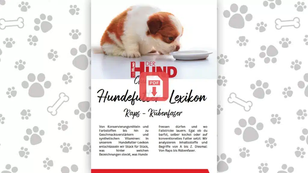 Futtermittellexikon R_Download