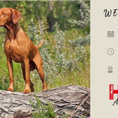 Header Webtalk Pseudojagd Club_800x450