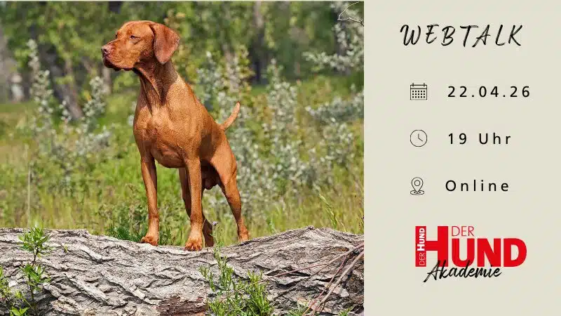 Header Webtalk Pseudojagd Club_800x450