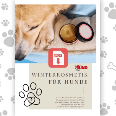 Winterkosmetik_Download